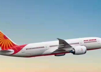 Women passenger got bitten by a scorpion onboard an Air India flight