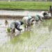 Empowering women: Is AgriTech changing the picture?