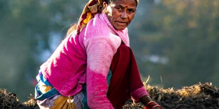 India Witnessing Feminisation Of Agriculture As Tech Empowers Women Farmers