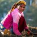India Witnessing Feminisation Of Agriculture As Tech Empowers Women Farmers